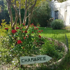 D'icard , Les Saintes-Maries-de-la-Mer France